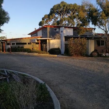 Swansea Backpacker Lodge Экстерьер фото
